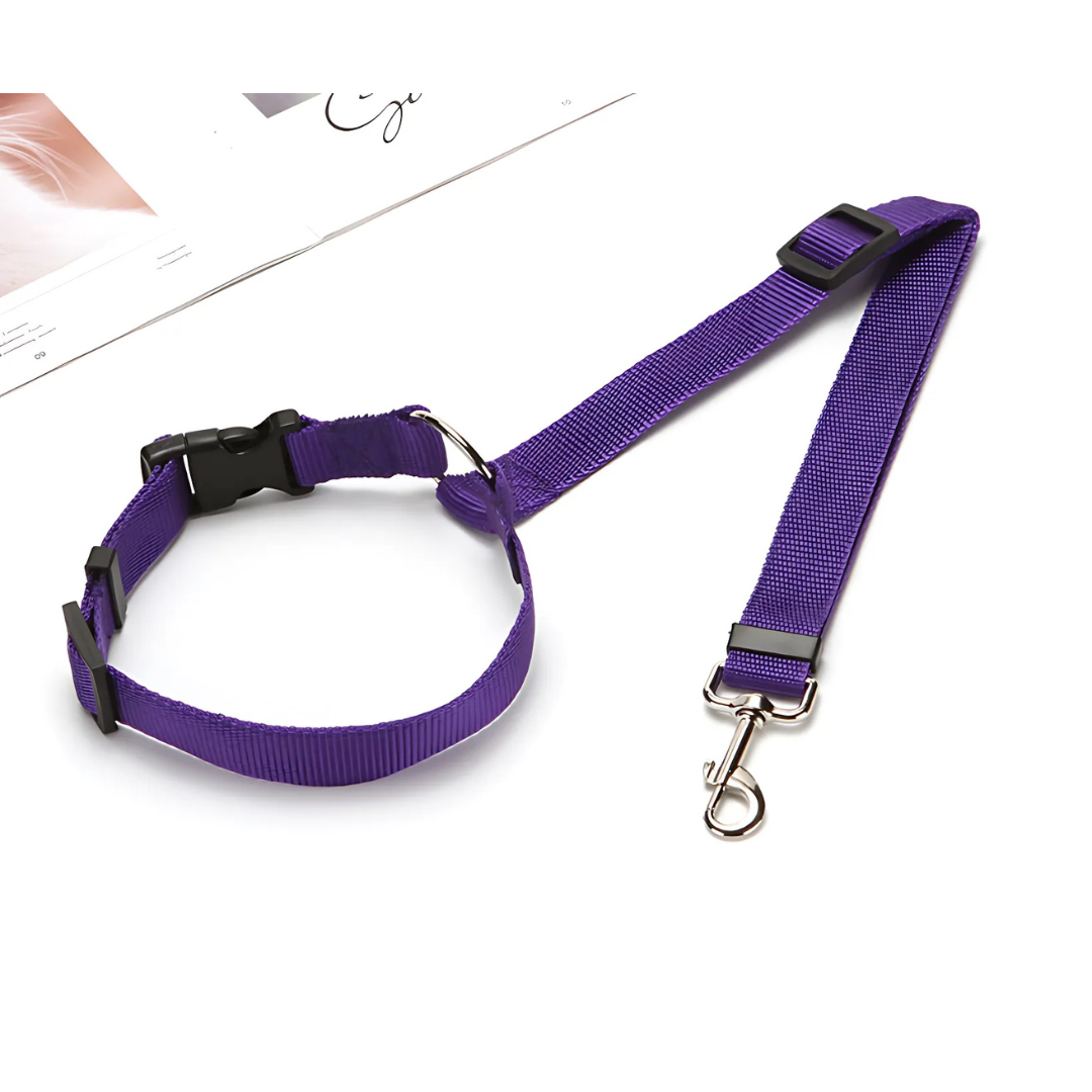 SafeRide™ – Sicheres Reisen für Hunde & Katzen