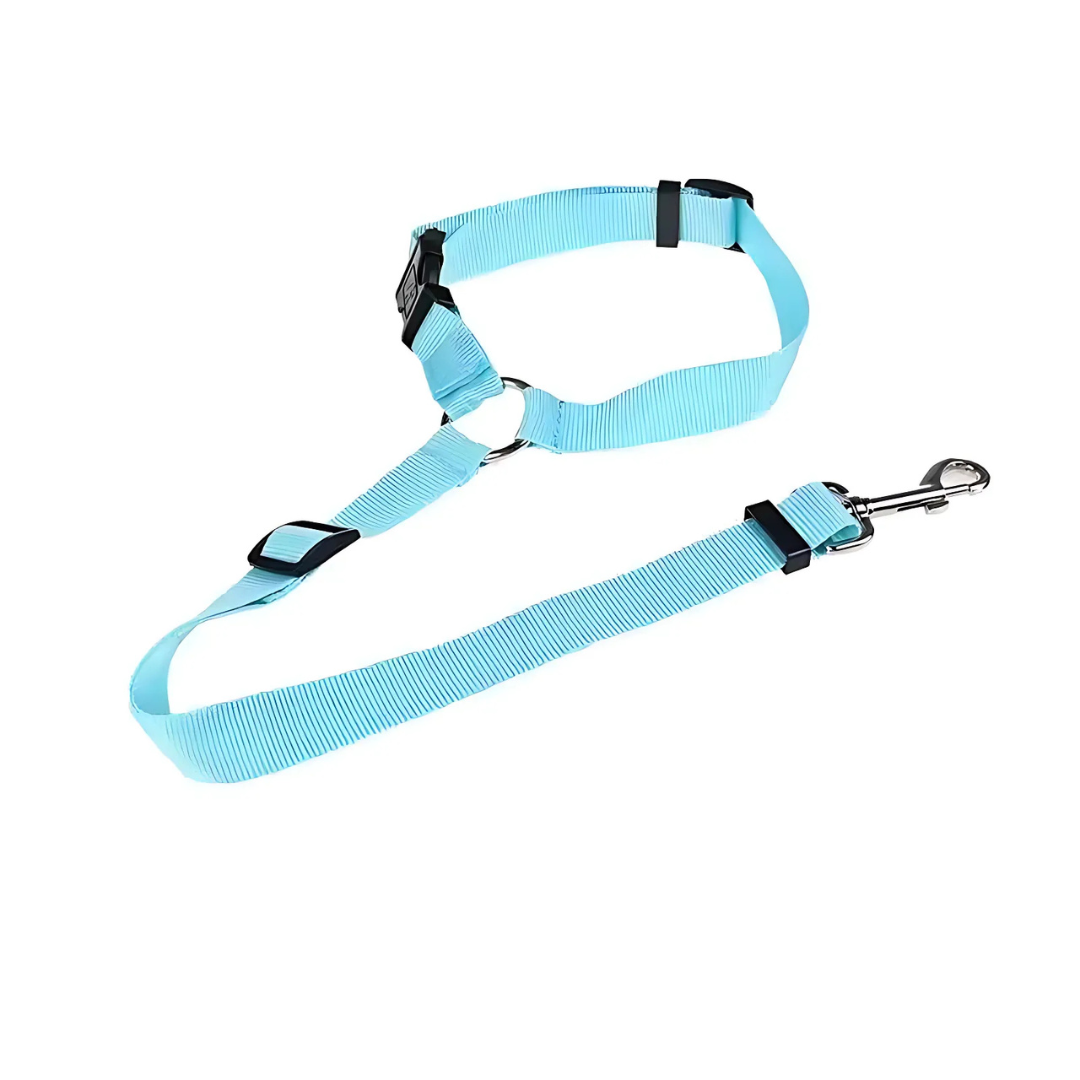 SafeRide™ – Sicheres Reisen für Hunde & Katzen