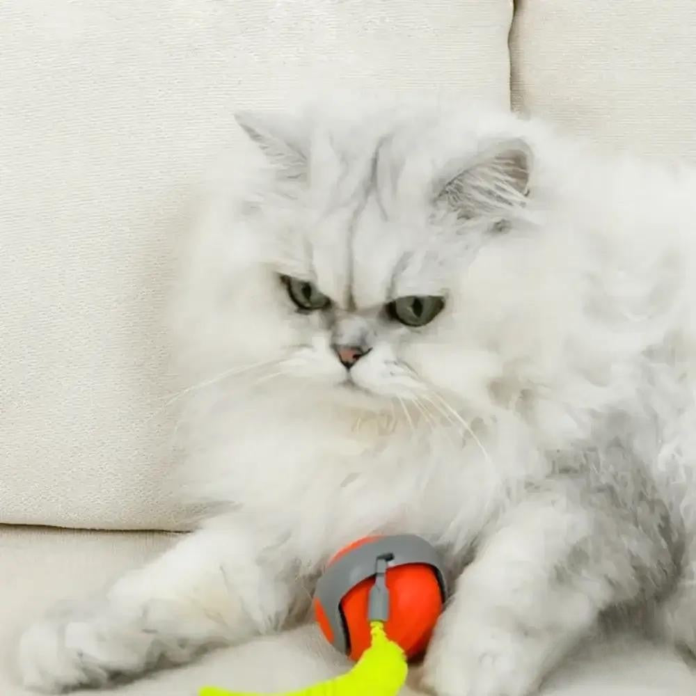 FlitzKatz – Endlich ein Spielzeug, das Katzen wirklich lieben