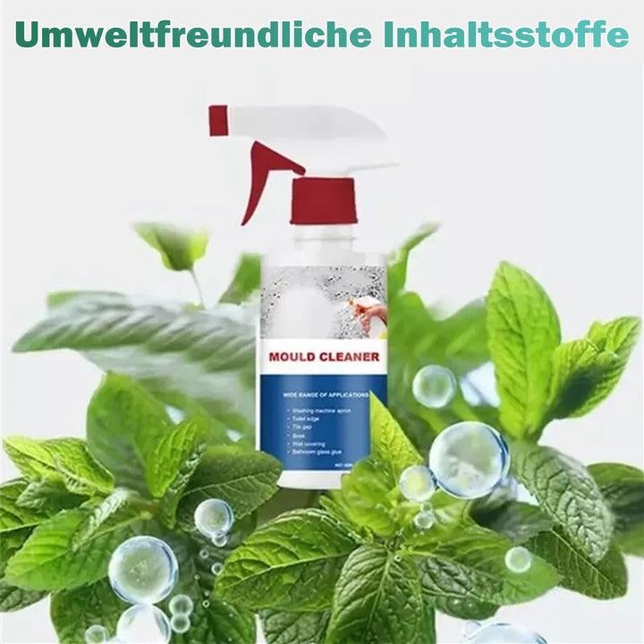 SchimmelStop™ – Endlich frei von gefährlichem Schimmel
