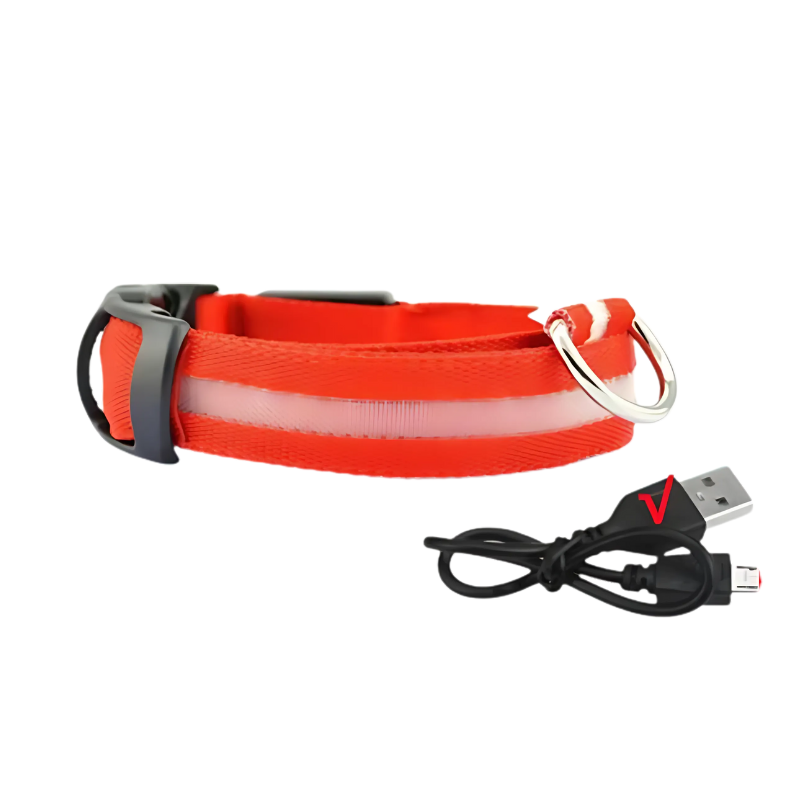 GlowPaw – Leuchtendes LED-Hundehalsband für sichere Abendspaziergänge