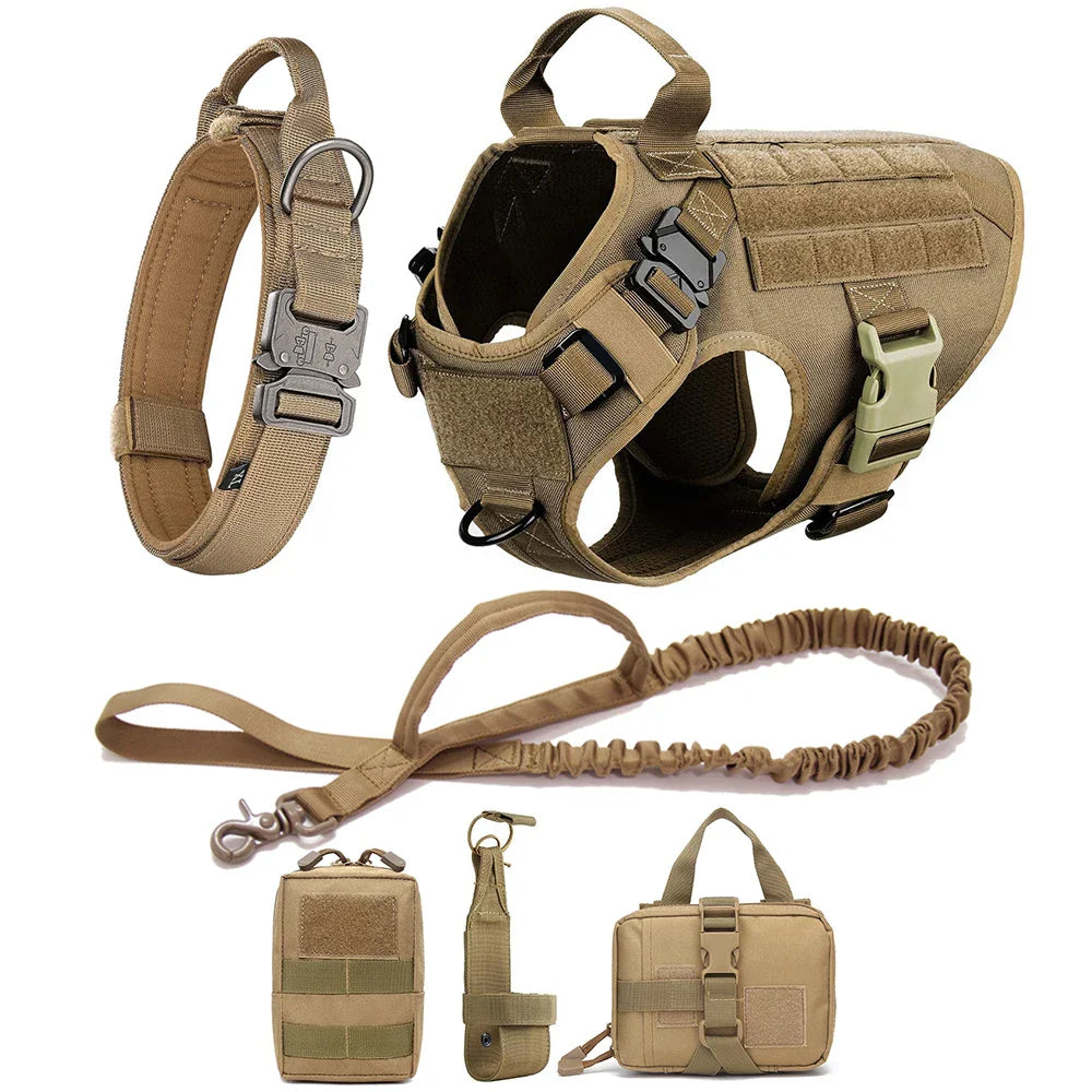 K9Force Pro – Kein Ziehen. Mehr Kontrolle. Maximale Sicherheit