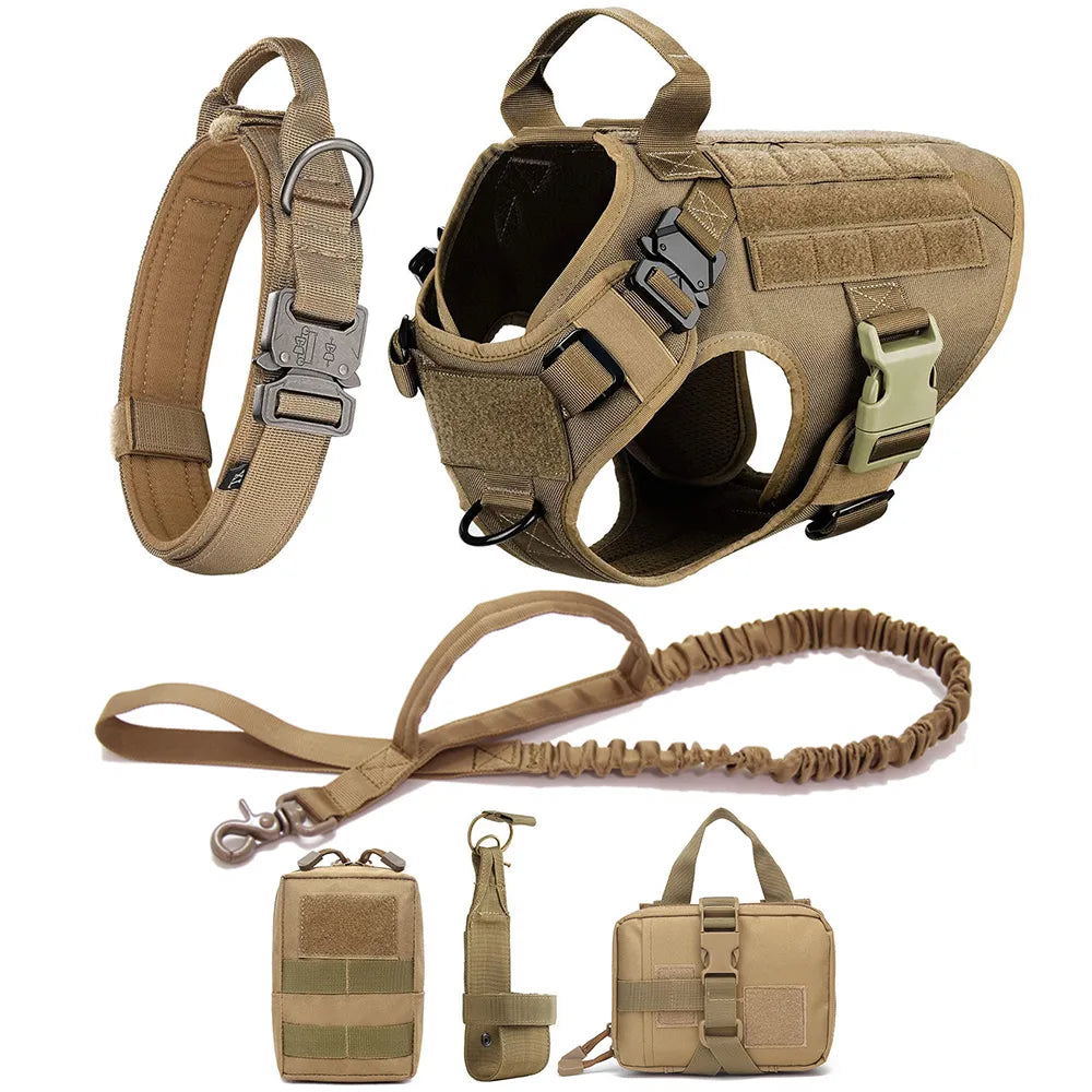 K9Force Pro – Kein Ziehen. Mehr Kontrolle. Maximale Sicherheit