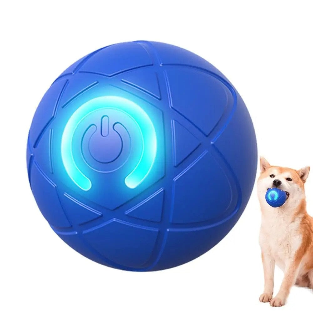 PetPlay Ball – Endloser Spaß für Hunde & Katzen!