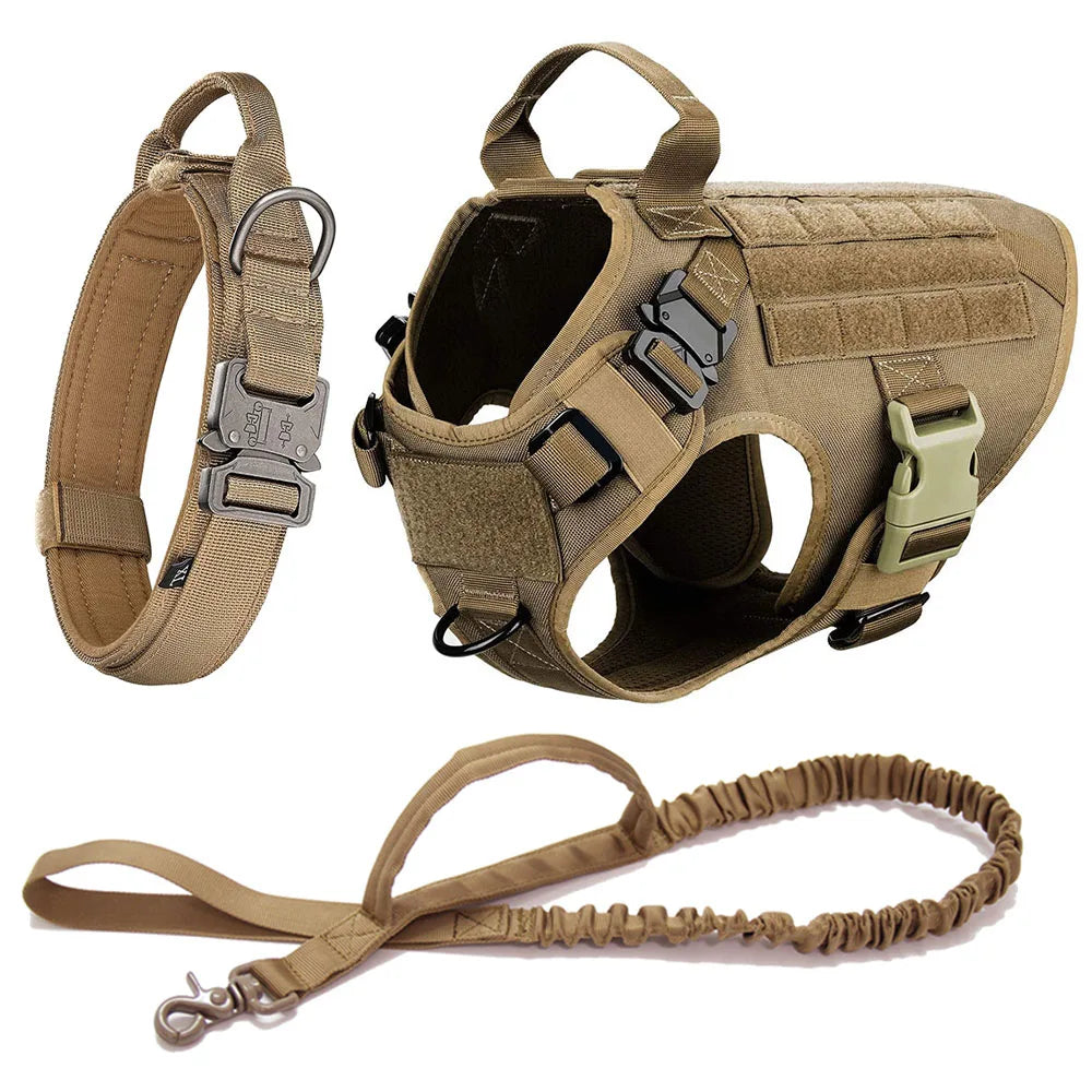 K9Force Pro – Kein Ziehen. Mehr Kontrolle. Maximale Sicherheit