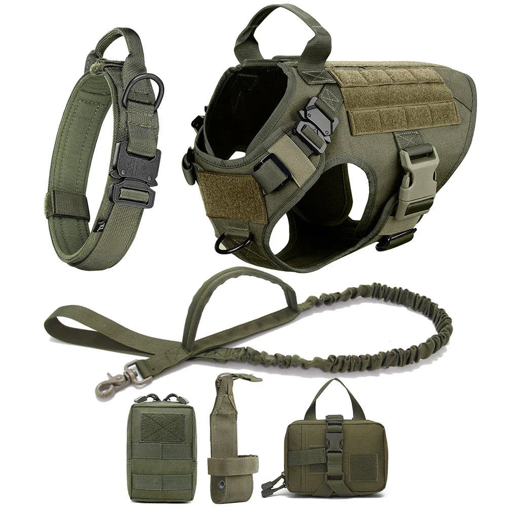 K9Force Pro – Kein Ziehen. Mehr Kontrolle. Maximale Sicherheit