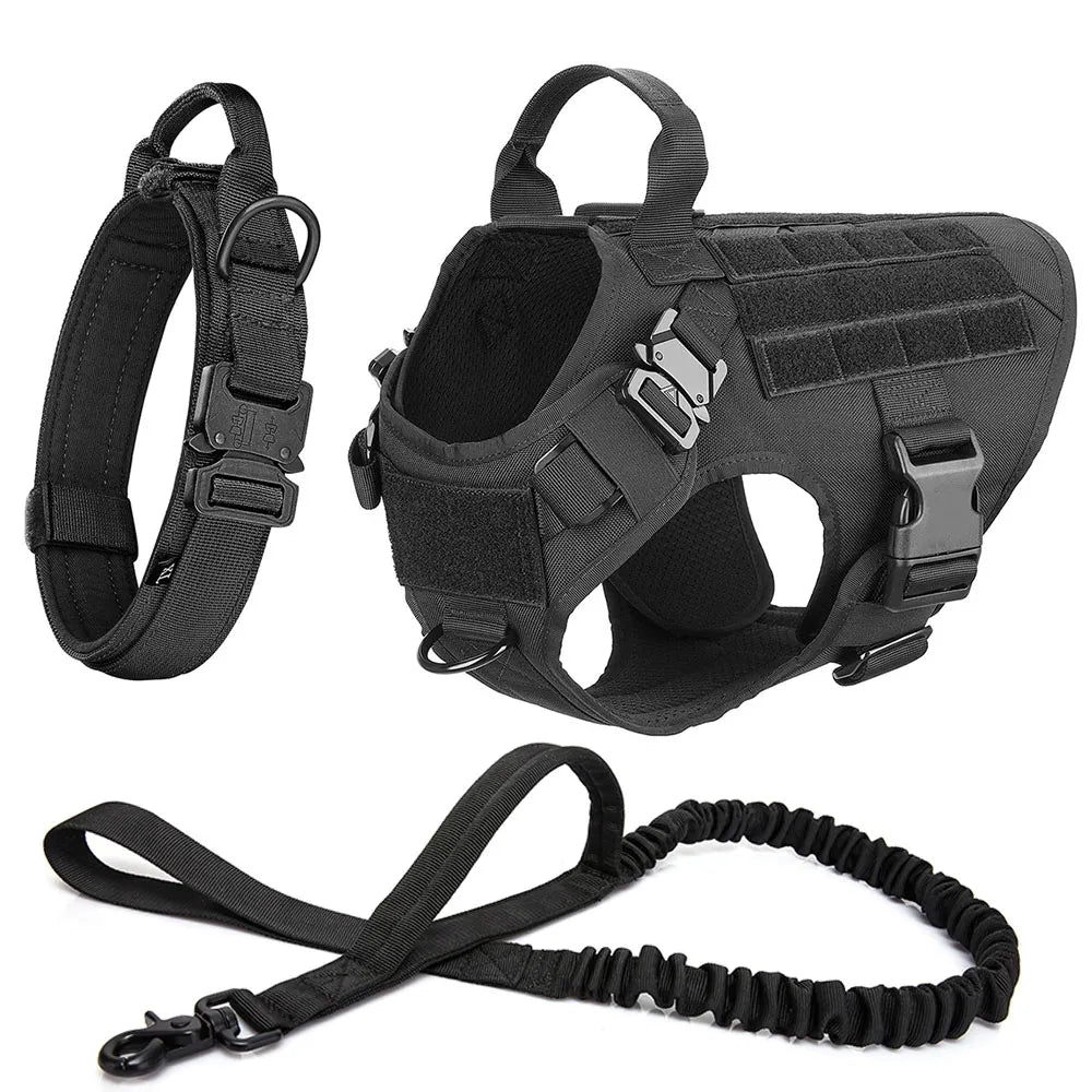 K9Force Pro – Kein Ziehen. Mehr Kontrolle. Maximale Sicherheit