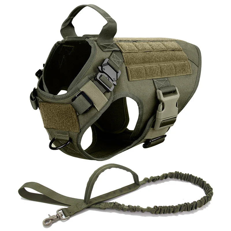 K9Force Pro – Kein Ziehen. Mehr Kontrolle. Maximale Sicherheit