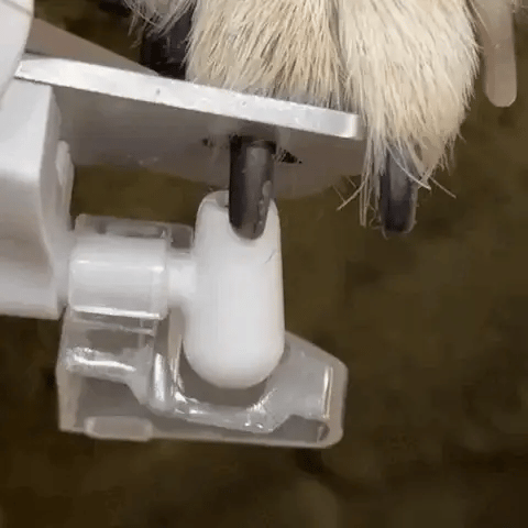 ClawEase – Sanfter 2-in-1 Krallenschneider & Schleifer für Haustiere