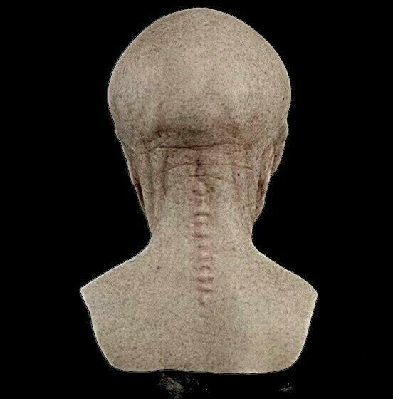XenoFace – Verwandle dich in ein echtes Alien
