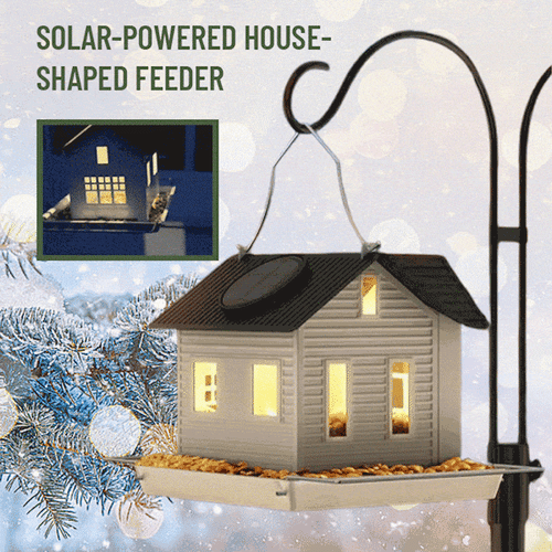 SunGlow Feeder – Das leuchtende Vogelhaus mit Solar!
