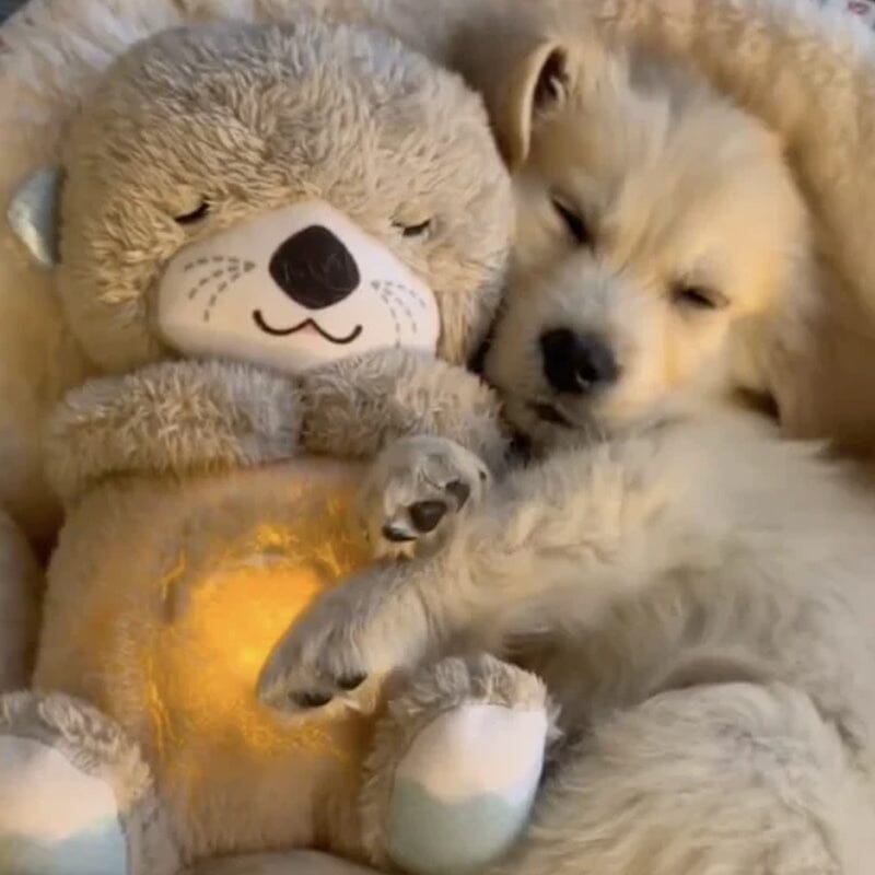 SoothPaws Otter – Beruhigendes Plüschtier mit Herzklopf- und Klangfunktion