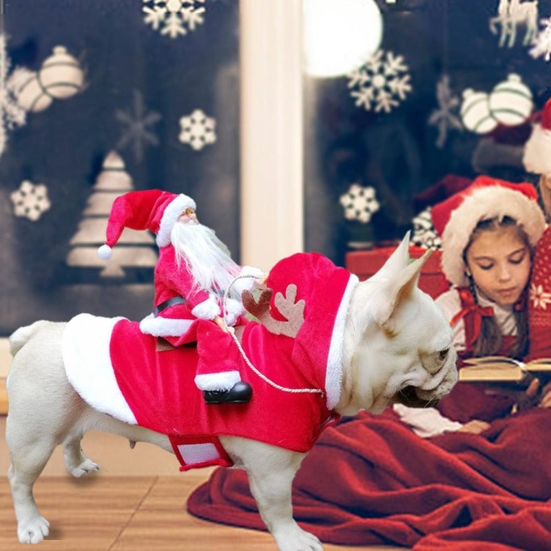 FellFreude – Weihnachtskostüm für Hunde mit Santa-Überraschung