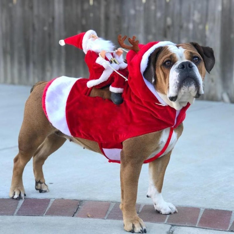 FellFreude – Weihnachtskostüm für Hunde mit Santa-Überraschung