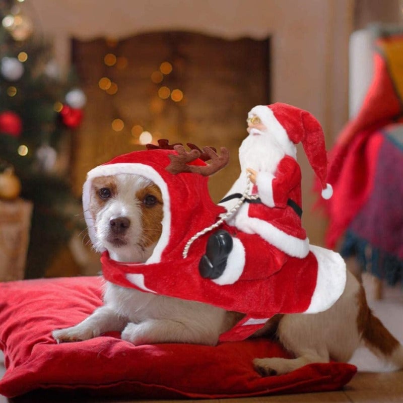 FellFreude – Weihnachtskostüm für Hunde mit Santa-Überraschung