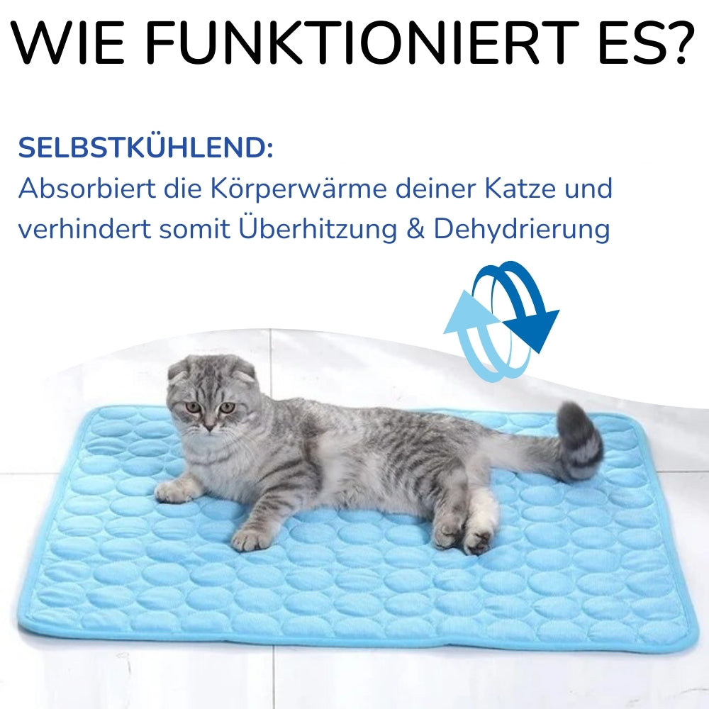 ChillPaws – Die clevere Abkühlung für heiße Katzentage