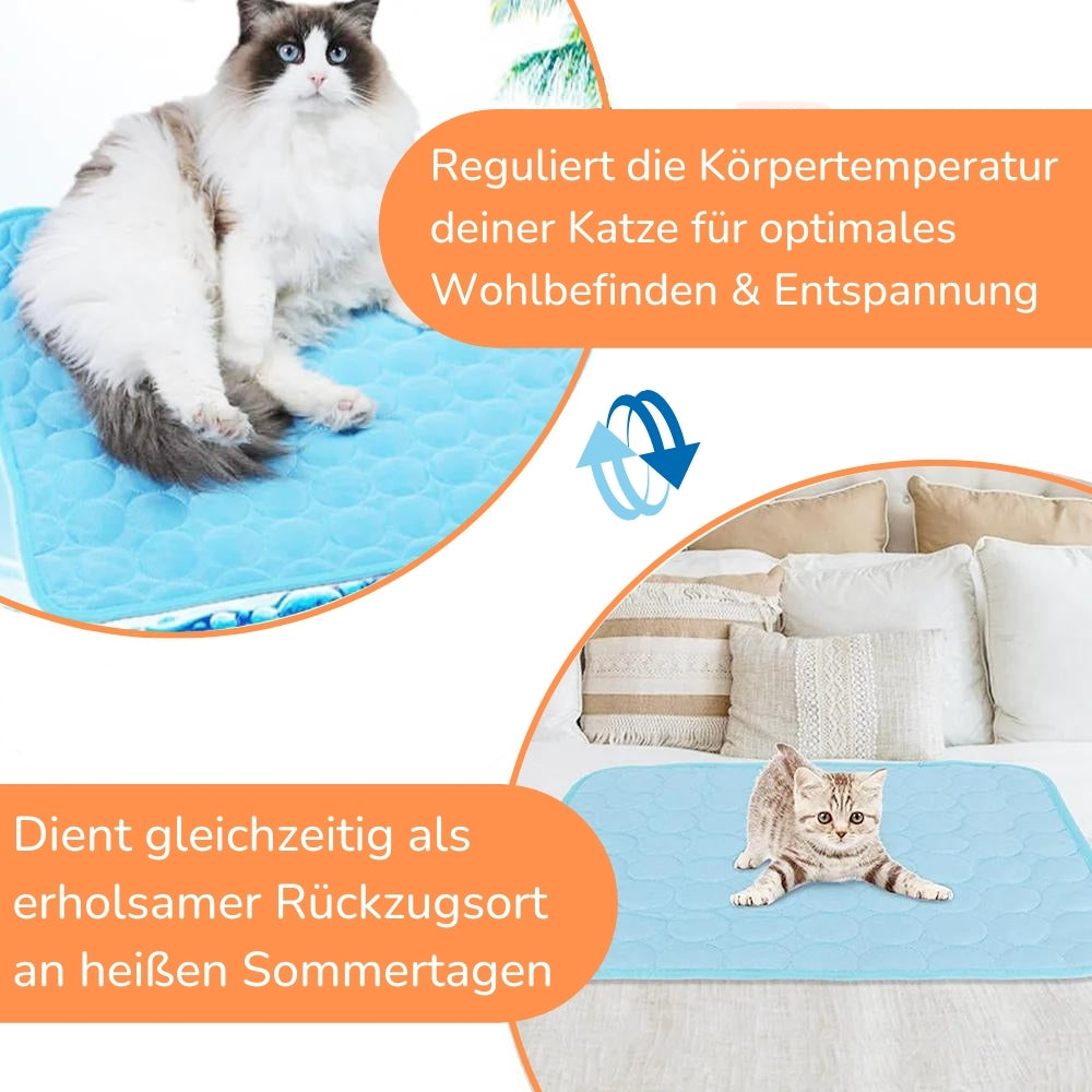 ChillPaws – Die clevere Abkühlung für heiße Katzentage