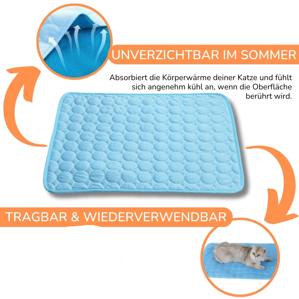ChillPaws – Die clevere Abkühlung für heiße Katzentage