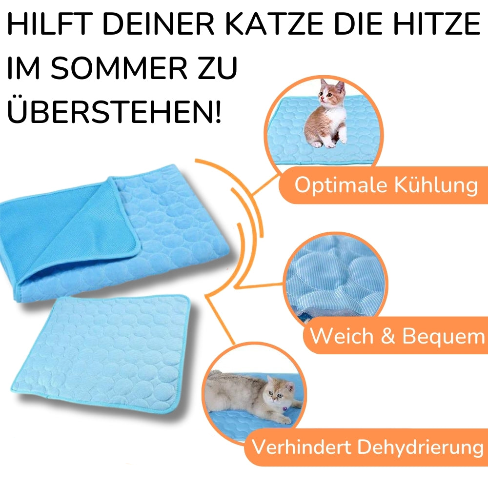 ChillPaws – Die clevere Abkühlung für heiße Katzentage