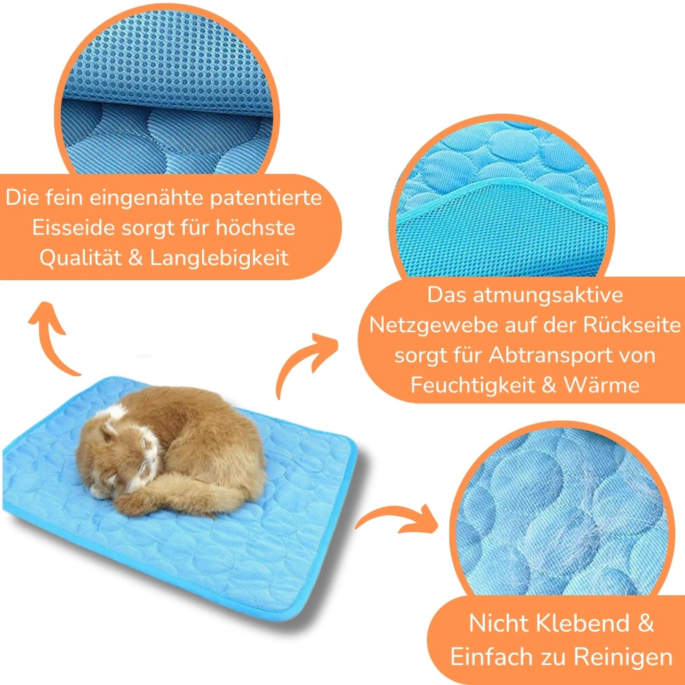 ChillPaws – Die clevere Abkühlung für heiße Katzentage