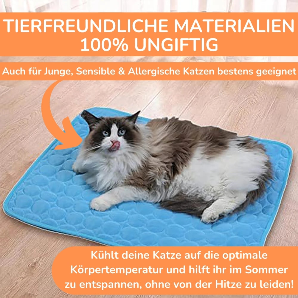 ChillPaws – Die clevere Abkühlung für heiße Katzentage
