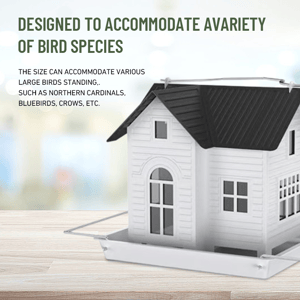SunGlow Feeder – Das leuchtende Vogelhaus mit Solar!
