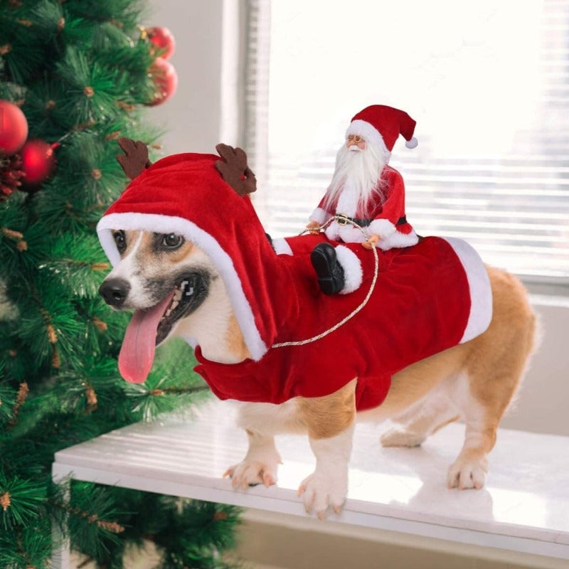 FellFreude – Weihnachtskostüm für Hunde mit Santa-Überraschung