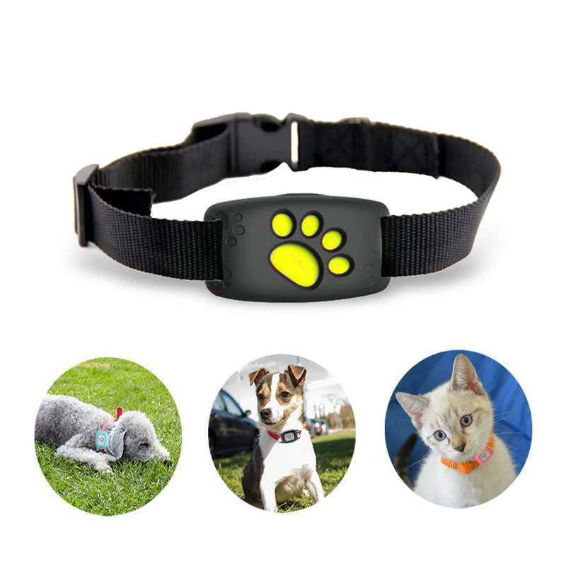 PetGuardian Pro – Nie wieder Angst, Ihre Katze zu verlieren