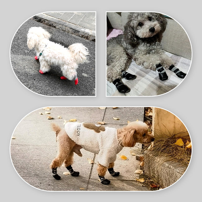 PawSafe Socks – Schutz & Style für glückliche Hunde