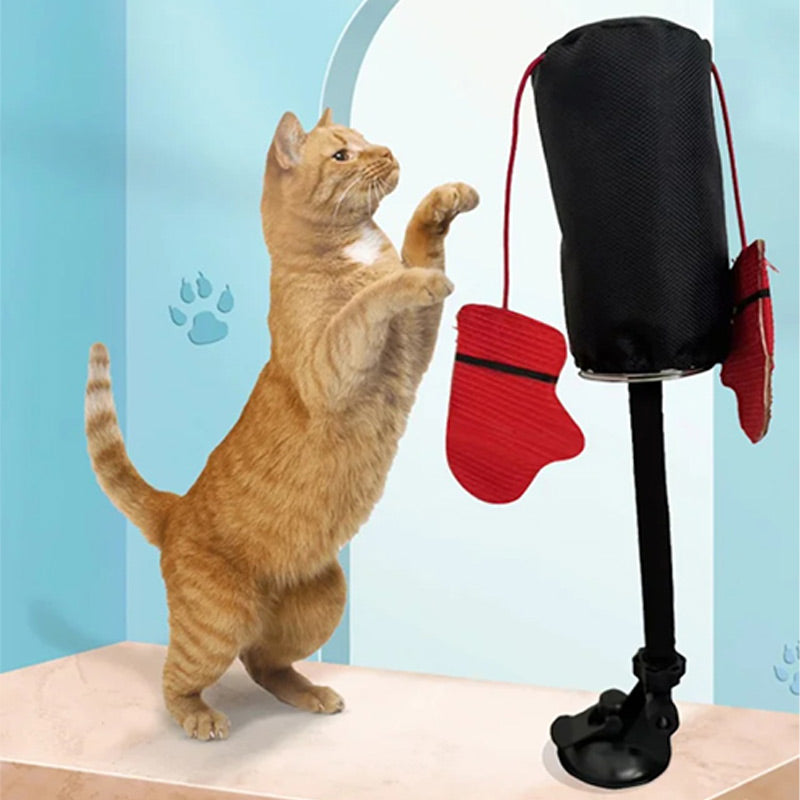 PawPunch Pro – Boxspaß für Katzen mit Energie