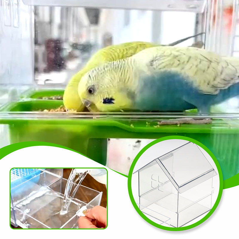 ClearFeeder Pro – Die saubere Lösung für jede Vogelvoliere